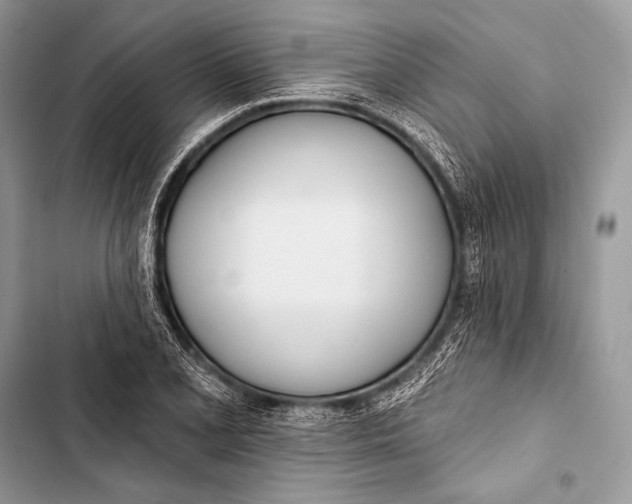 X0000103491077200810031600