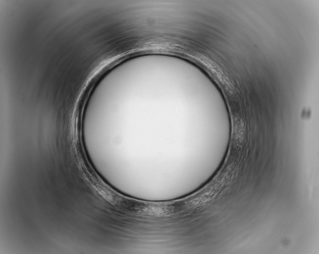 X0000103491078200810031600