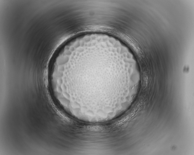 X0000103491079200810031600