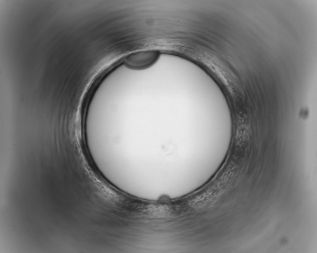 X0000103491080200810031600