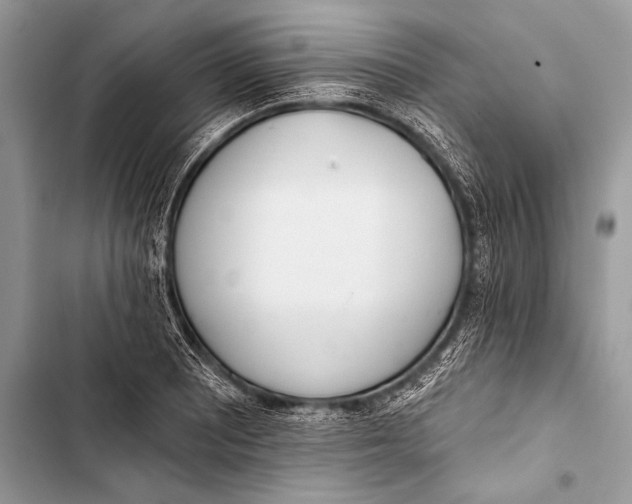 X0000103491081200810031600