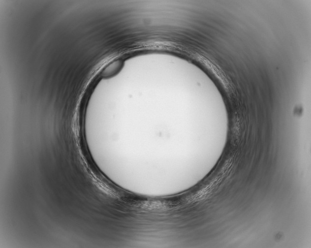 X0000103491082200810031600