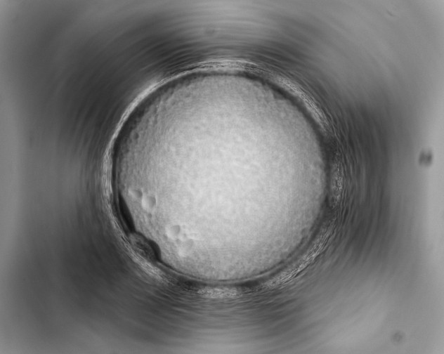 X0000103491083200810031600