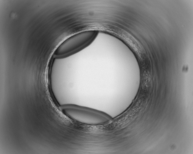 X0000103491084200810031600