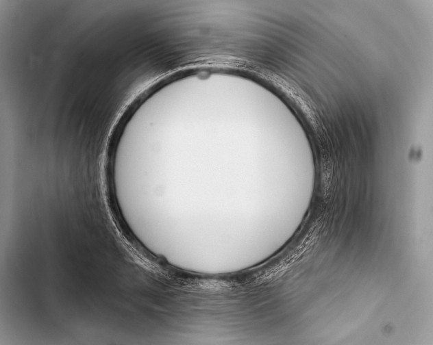 X0000103491085200810031600