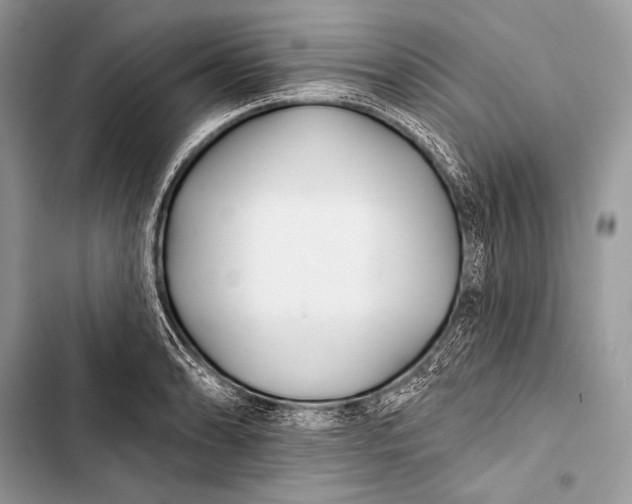 X0000103491086200810031600