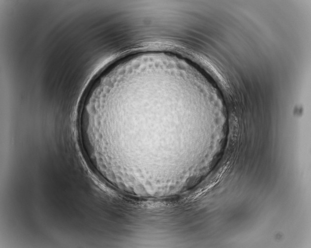 X0000103491087200810031600