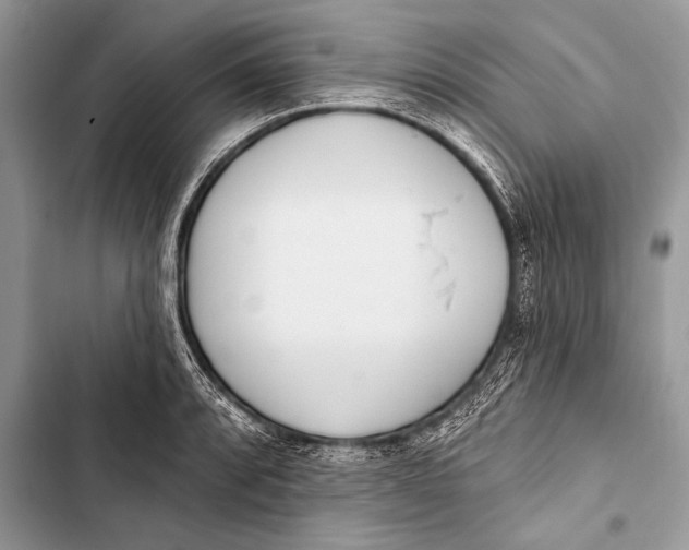 X0000103491088200810031600