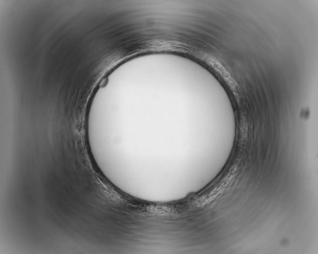 X0000103491089200810031600