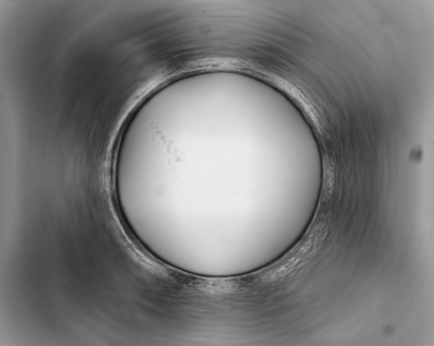 X0000103491090200810031600