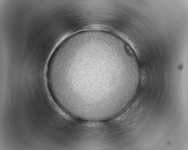 X0000103491091200810031600