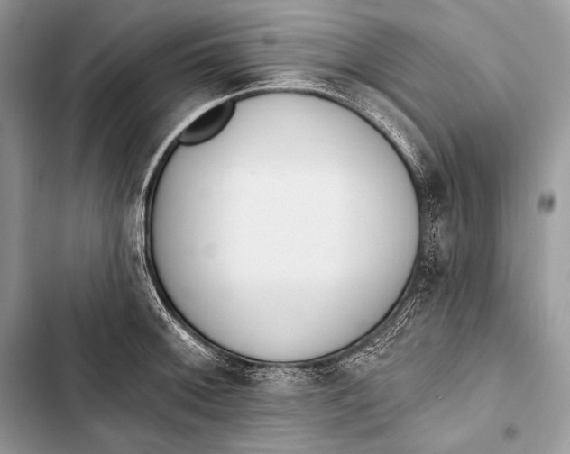 X0000103491092200810031600