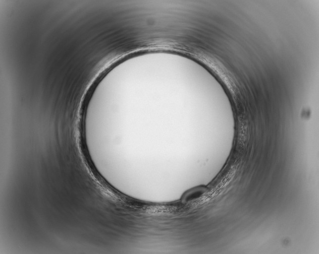 X0000103491093200810031600