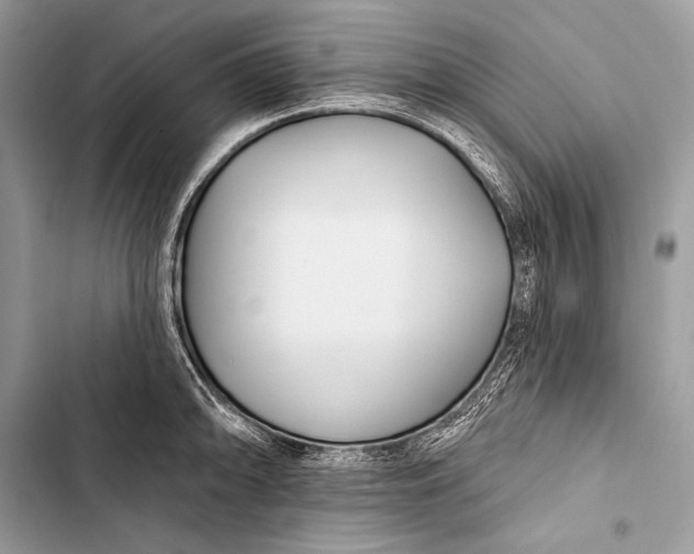 X0000103491094200810031600