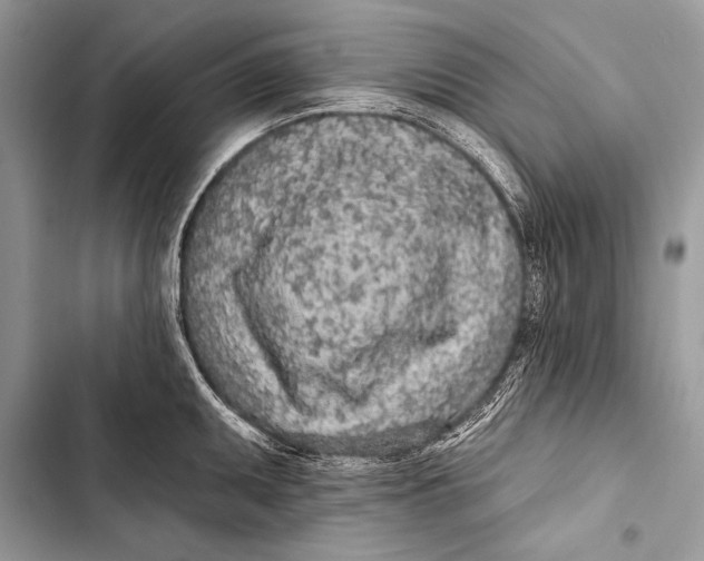 X0000103491095200810031600