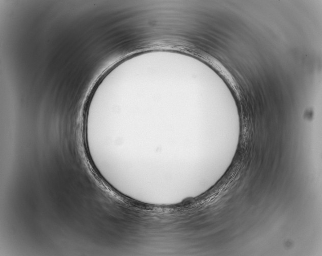 X0000103491096200810031600