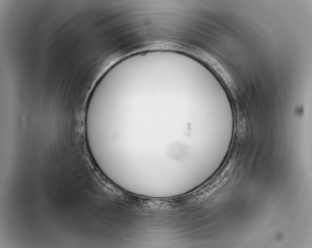 X0000103491097200810031600