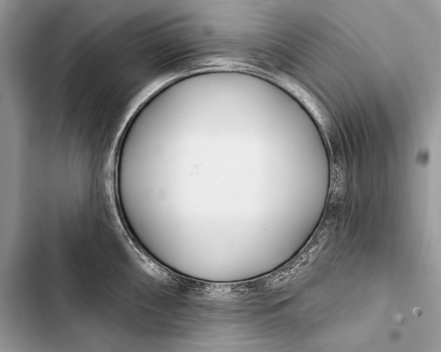 X0000103491098200810031600