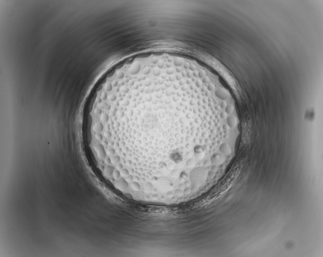 X0000103491099200810031600