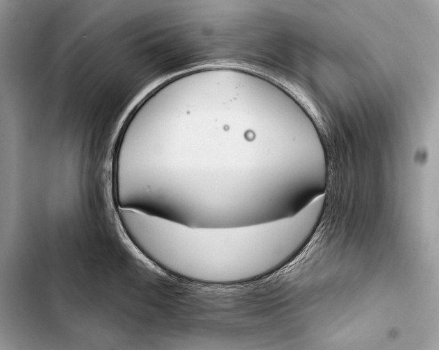 X0000103491100200810031600