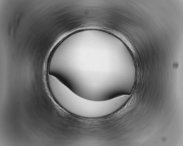 X0000103491101200810031600