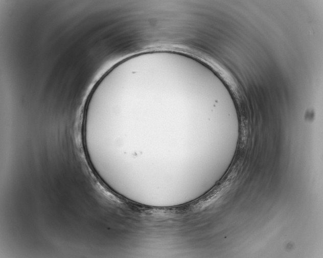 X0000103491102200810031600