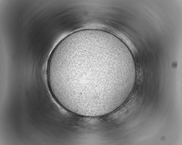 X0000103491103200810031600