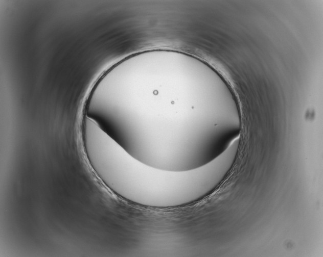 X0000103491104200810031600