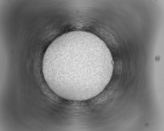 X0000103491105200810031559