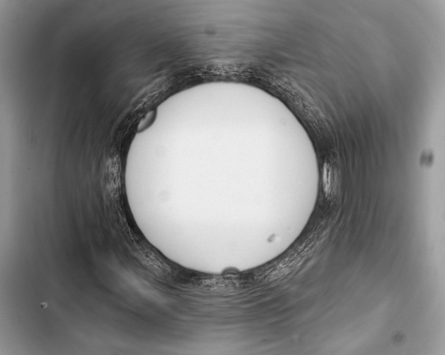 X0000103491107200810031559