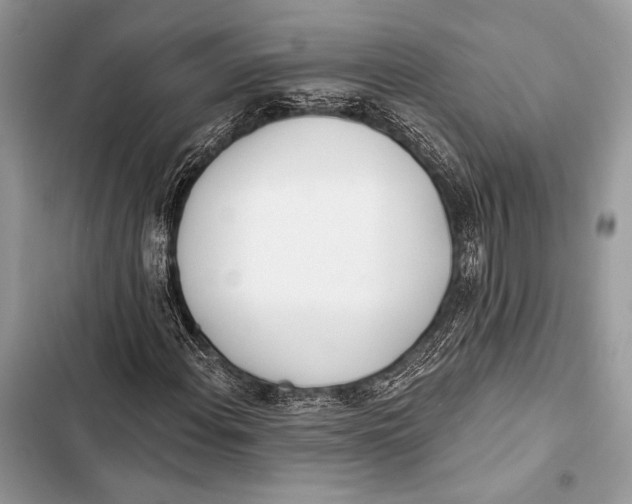 X0000103491108200810031559