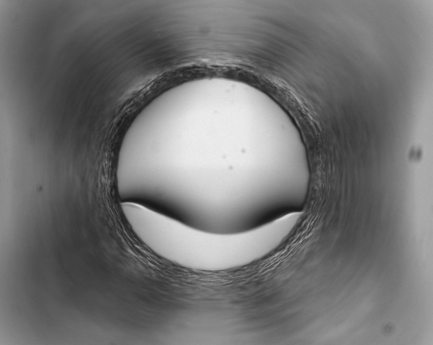 X0000103491110200810031559