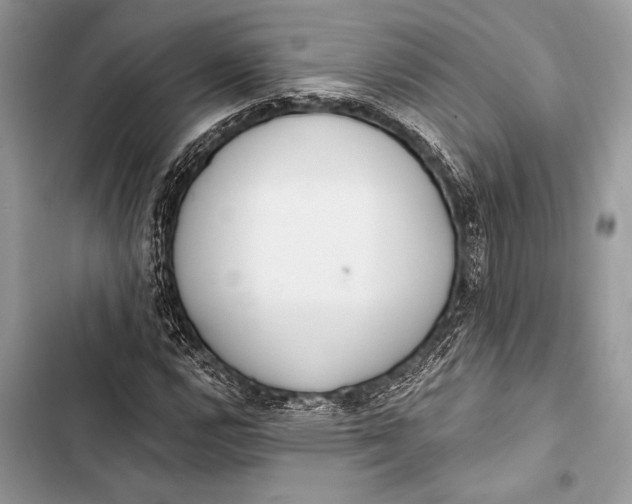 X0000103491112200810031559