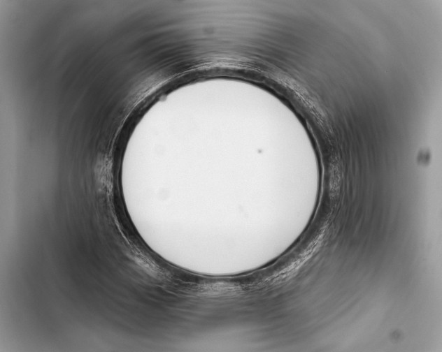 X0000103491113200810031559