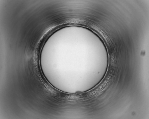 X0000103491115200810031559