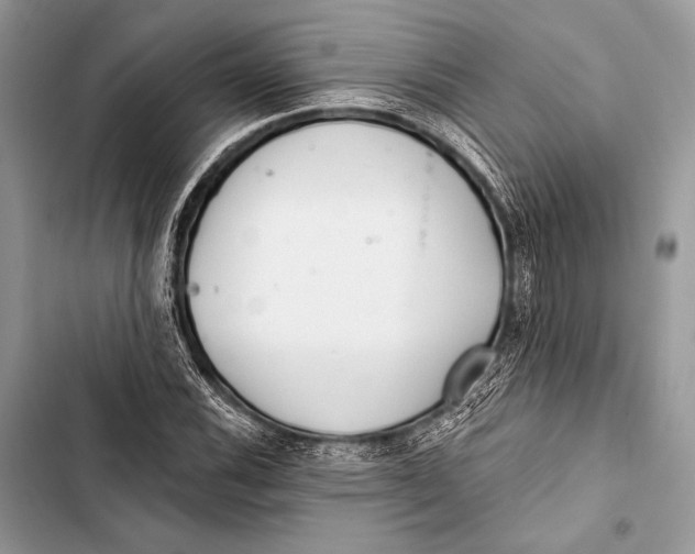 X0000103491116200810031559