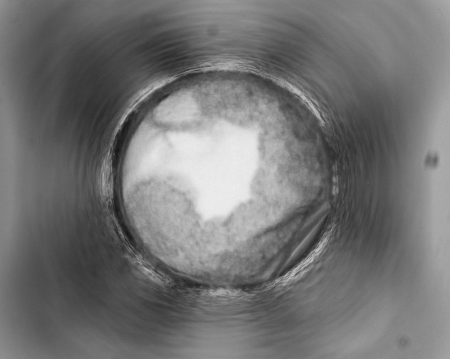 X0000103491117200810031559