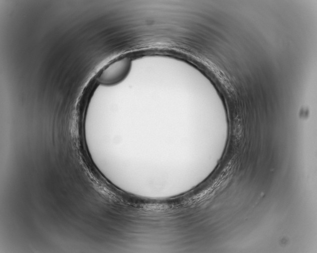 X0000103491118200810031559