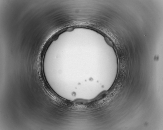 X0000103491119200810031559