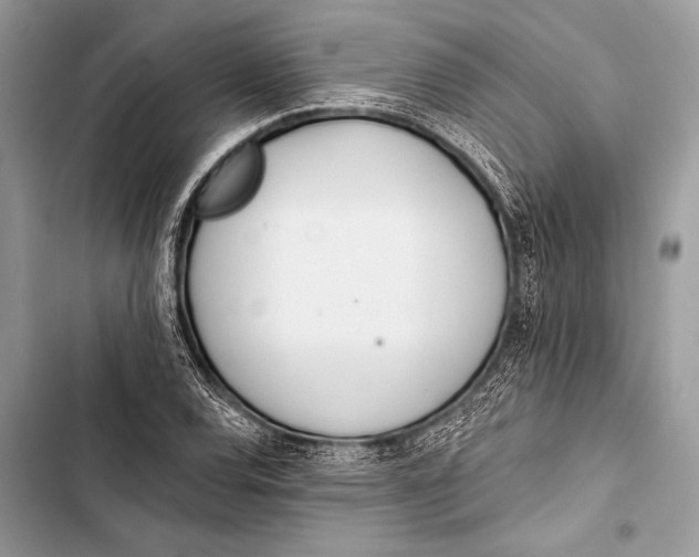 X0000103491120200810031559