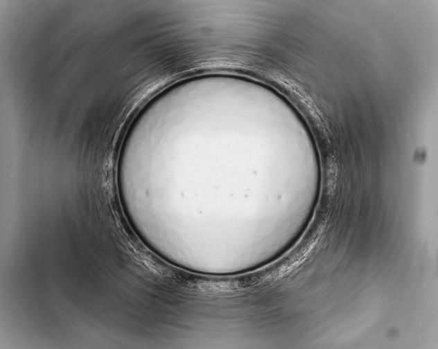 X0000103491121200810031559