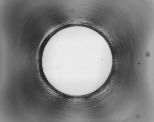 X0000103491122200810031559