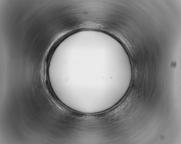 X0000103491123200810031559