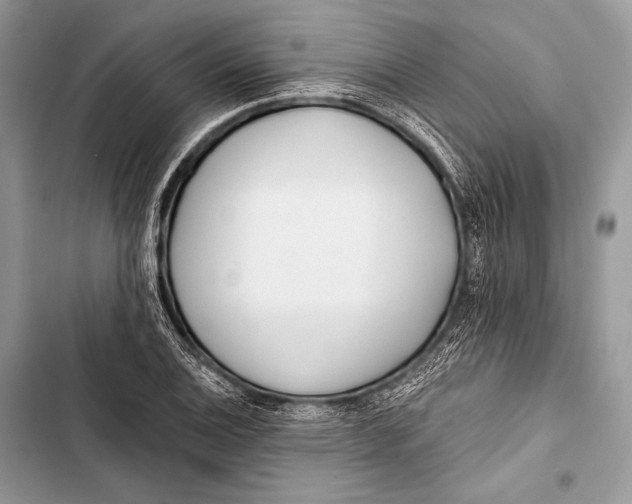 X0000103491124200810031559