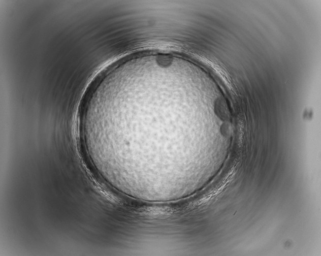 X0000103491125200810031559