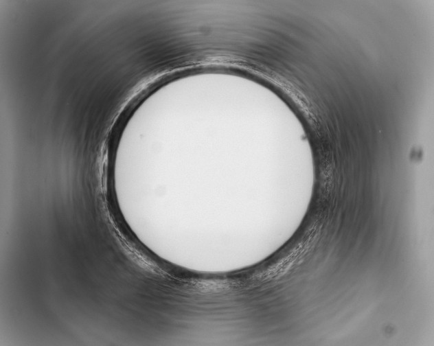 X0000103491126200810031559