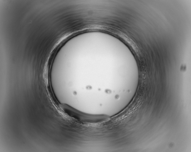 X0000103491127200810031559