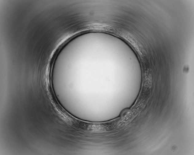 X0000103491128200810031559