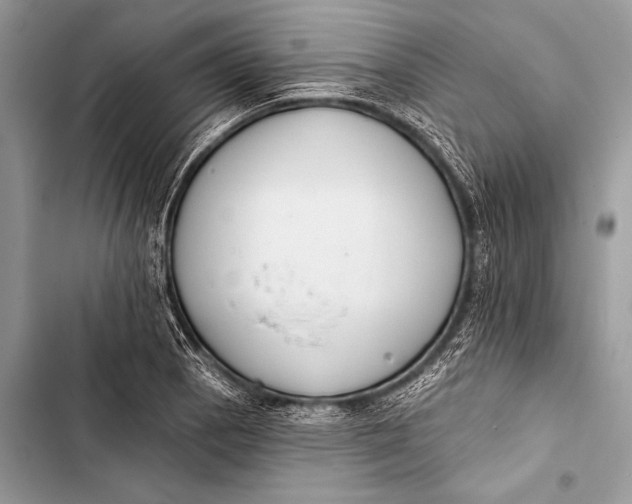 X0000103491129200810031559