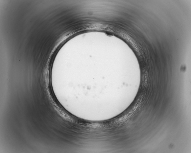 X0000103491130200810031559